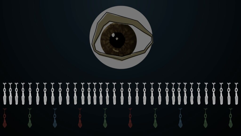 Teoria das cores, como funciona o olho humano e o pixel - Davinci Resolve  Tutoriais