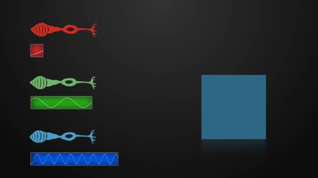 Exemplo de resultados da leitura dos cones RGB 03