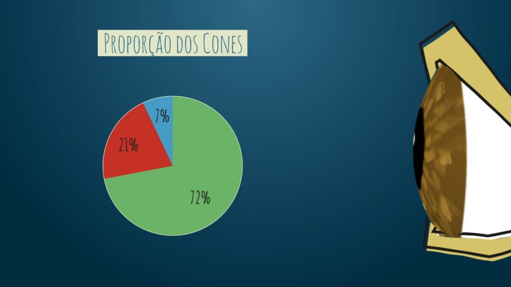 Proporção dos Cones